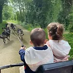 Nature & Chiens De Traineaux Holiday home Echire