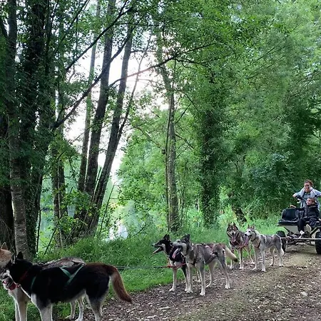 Nature & Chiens De Traineaux Holiday home *