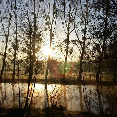 Chalet Nature, Spa & Chiens De Traineaux *