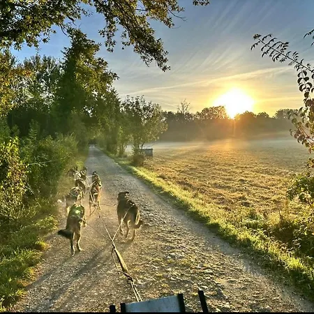 Chalet Nature, Spa & Chiens De Traineaux 別荘 Échiré