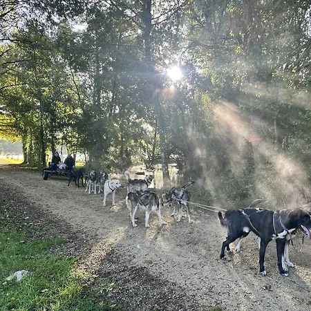 Chalet Nature, Spa & Chiens De Traineaux *