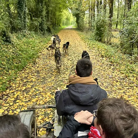 Chalet Nature, Spa & Chiens De Traineaux *