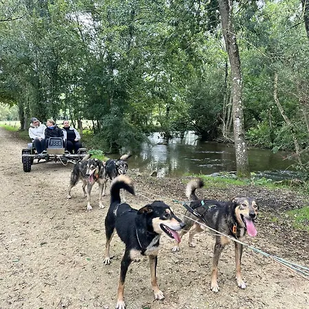 Hébergement de vacances Nature&chiens De Traîneaux *